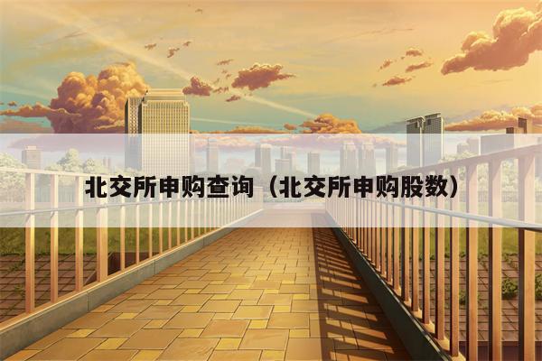 北交所申购查询（北交所申购股数）