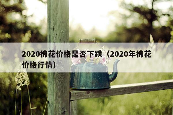 2020棉花价格是否下跌（2020年棉花价格行情）