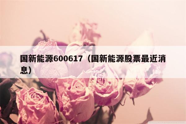 国新能源600617（国新能源股票最近消息）