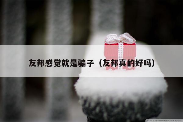 友邦感觉就是骗子（友邦真的好吗）