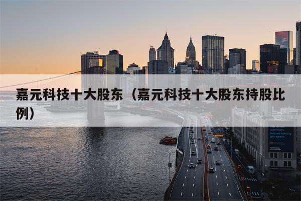 嘉元科技十大股东（嘉元科技十大股东持股比例）