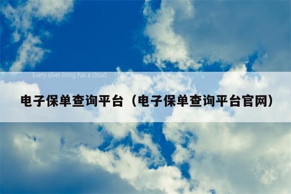 电子保单查询平台（电子保单查询平台官网）