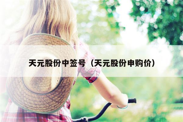 天元股份中签号（天元股份申购价）