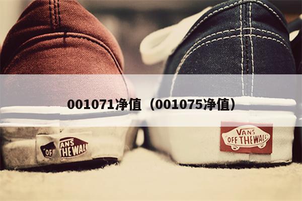 001071净值（001075净值）