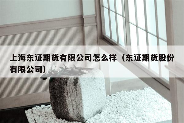 上海东证期货有限公司怎么样（东证期货股份有限公司）