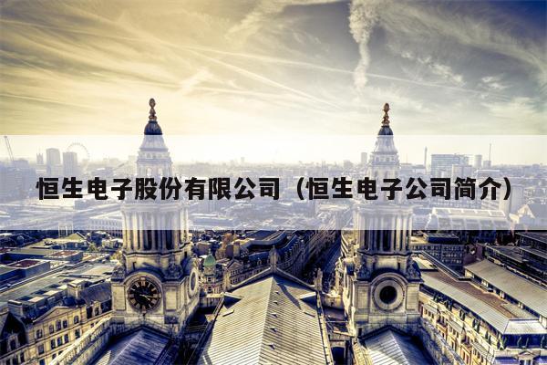 恒生电子股份有限公司（恒生电子公司简介）