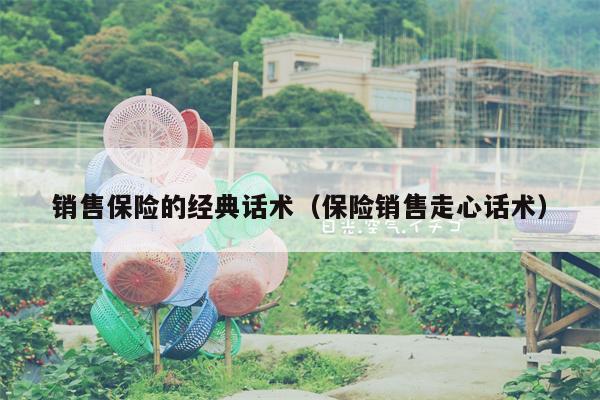 销售保险的经典话术（保险销售走心话术）