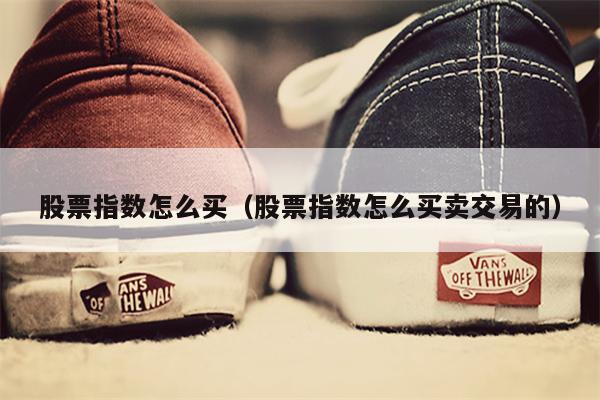 股票指数怎么买（股票指数怎么买卖交易的）