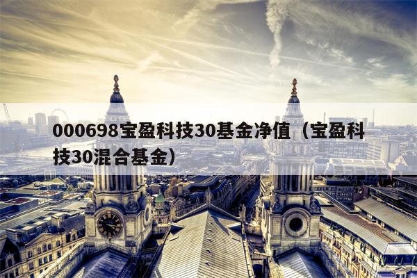 000698宝盈科技30基金净值（宝盈科技30混合基金）
