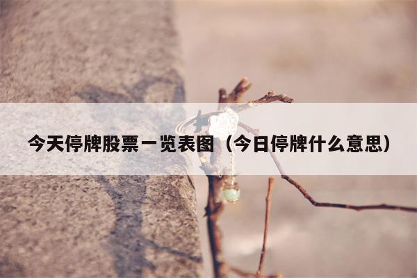 今天停牌股票一览表图（今日停牌什么意思）