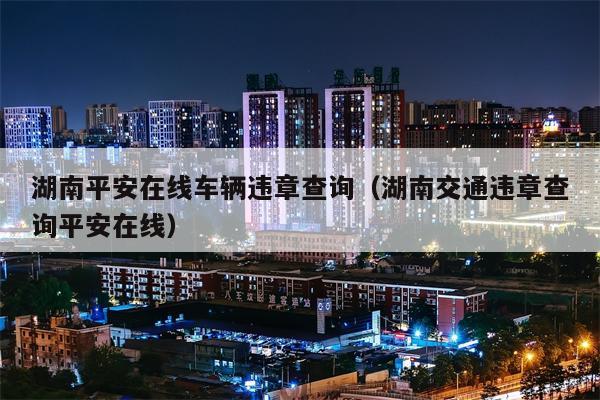 湖南平安在线车辆违章查询（湖南交通违章查询平安在线）