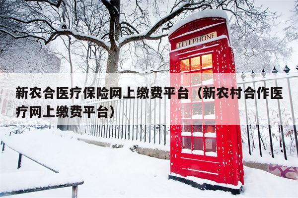 新农合医疗保险网上缴费平台（新农村合作医疗网上缴费平台）