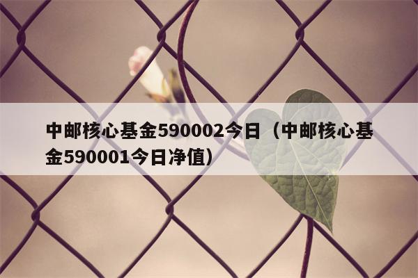 中邮核心基金590002今日（中邮核心基金590001今日净值）