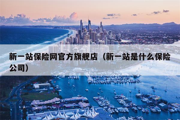 新一站保险网官方旗舰店（新一站是什么保险公司）
