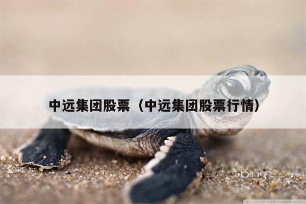 中远集团股票（中远集团股票行情）