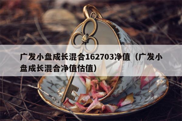 广发小盘成长混合162703净值（广发小盘成长混合净值估值）