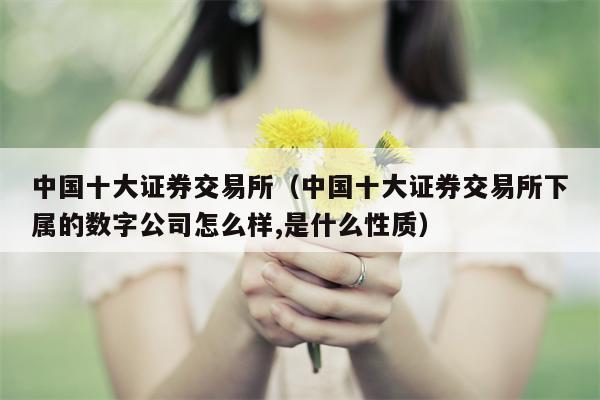 中国十大证券交易所（中国十大证券交易所下属的数字公司怎么样,是什么性质）