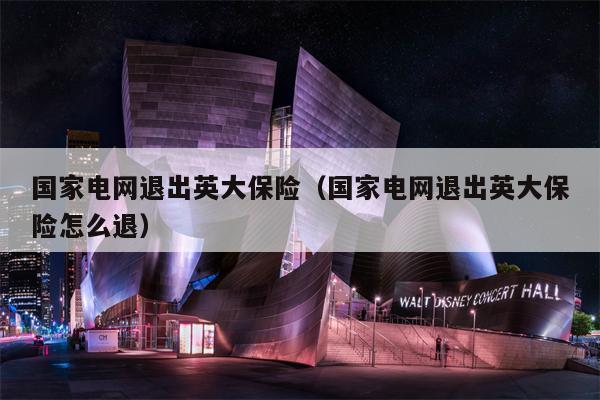 国家电网退出英大保险（国家电网退出英大保险怎么退）