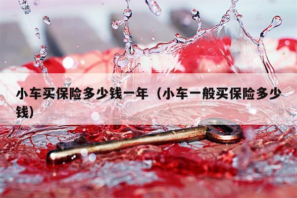 小车买保险多少钱一年（小车一般买保险多少钱）