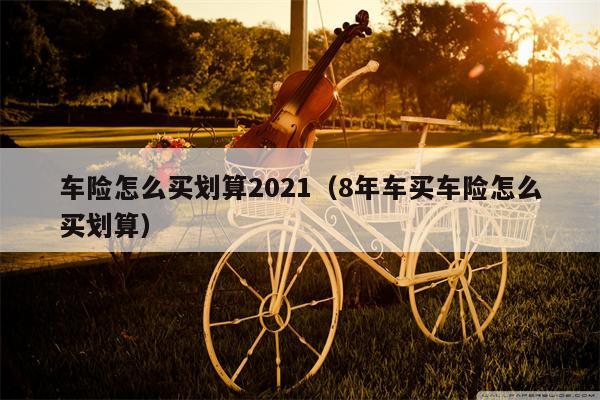 车险怎么买划算2021（8年车买车险怎么买划算）