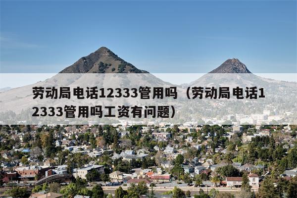 劳动局电话12333管用吗（劳动局电话12333管用吗工资有问题）
