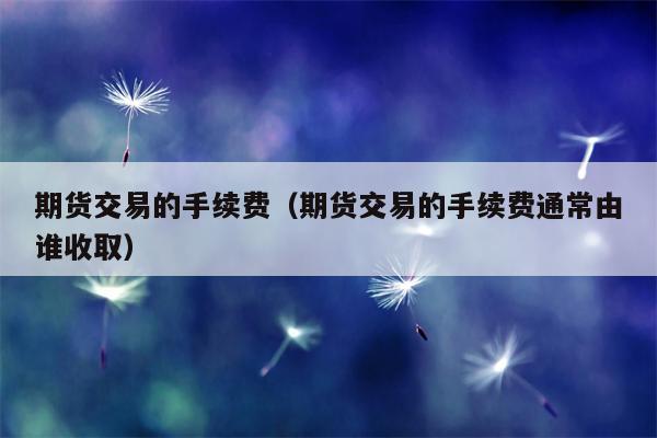 期货交易的手续费（期货交易的手续费通常由谁收取）