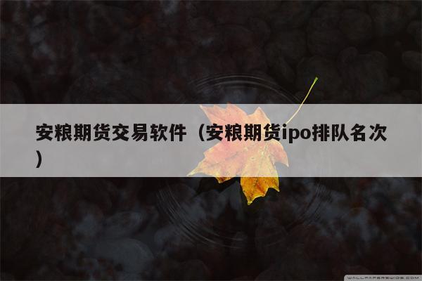 安粮期货交易软件（安粮期货ipo排队名次）
