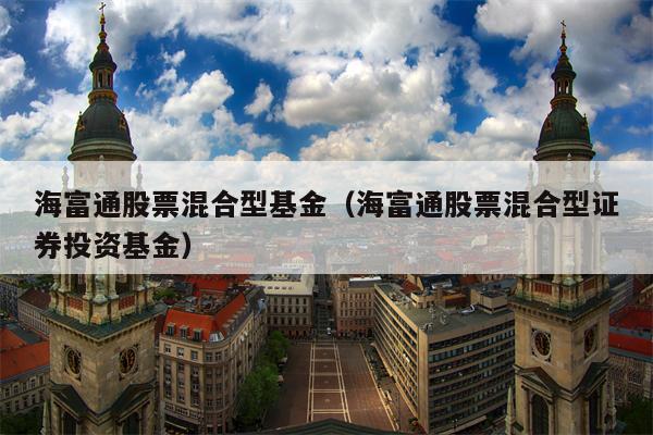海富通股票混合型基金（海富通股票混合型证券投资基金）
