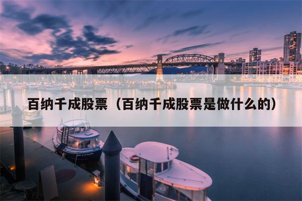 百纳千成股票（百纳千成股票是做什么的）