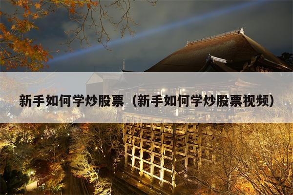 新手如何学炒股票（新手如何学炒股票视频）