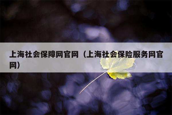上海社会保障网官网（上海社会保险服务网官网）