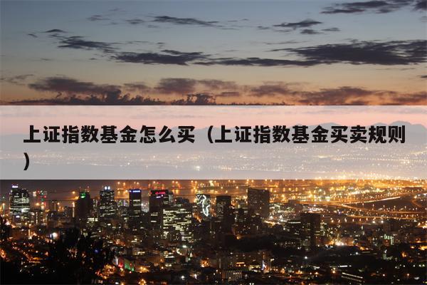 上证指数基金怎么买（上证指数基金买卖规则）