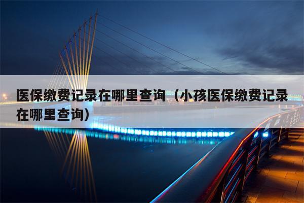 医保缴费记录在哪里查询（小孩医保缴费记录在哪里查询）