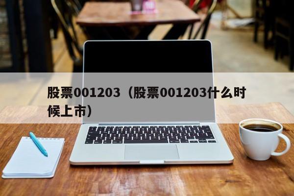 股票001203（股票001203什么时候上市）