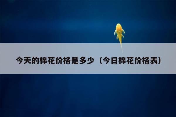 今天的棉花价格是多少（今日棉花价格表）