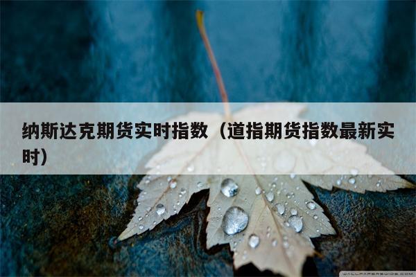 纳斯达克期货实时指数（道指期货指数最新实时）