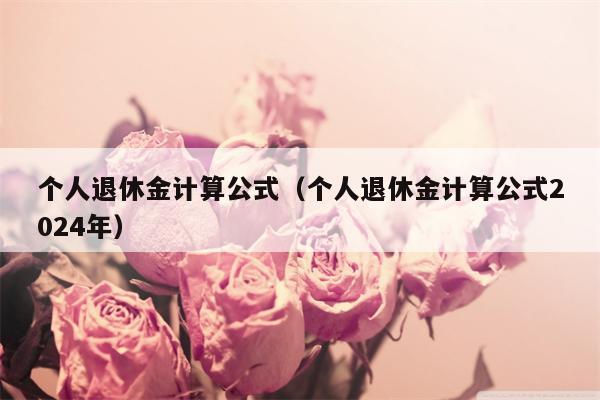 个人退休金计算公式（个人退休金计算公式2024年）