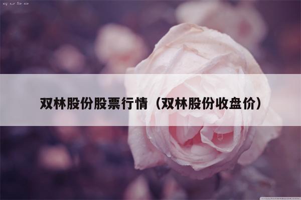 双林股份股票行情（双林股份收盘价）