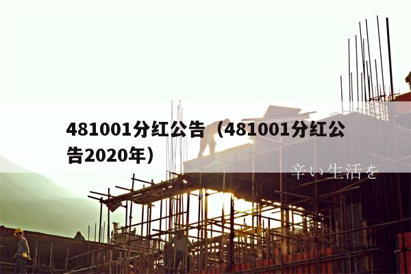 481001分红公告（481001分红公告2020年）
