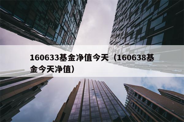 160633基金净值今天（160638基金今天净值）