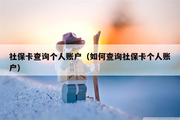 社保卡查询个人账户（如何查询社保卡个人账户）