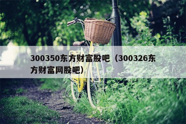 300350东方财富股吧（300326东方财富网股吧）