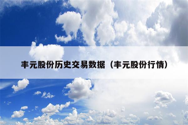 丰元股份历史交易数据（丰元股份行情）