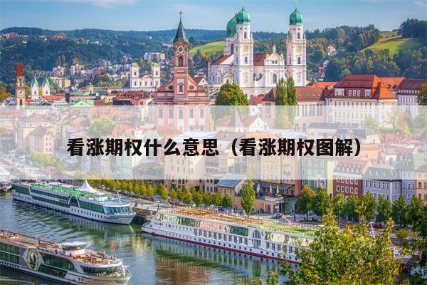 看涨期权什么意思（看涨期权图解）