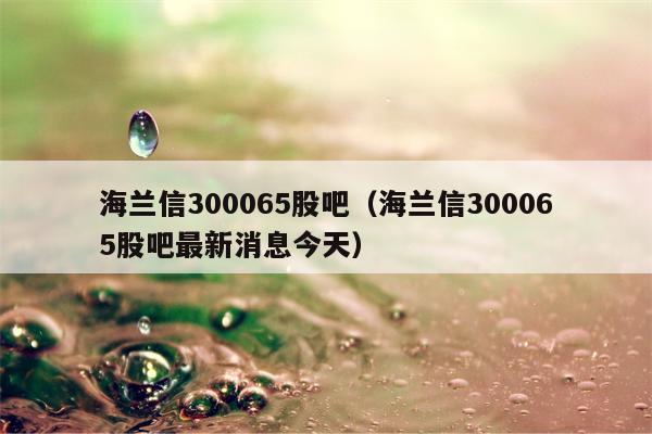 海兰信300065股吧（海兰信300065股吧最新消息今天）