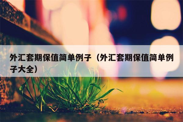 外汇套期保值简单例子（外汇套期保值简单例子大全）
