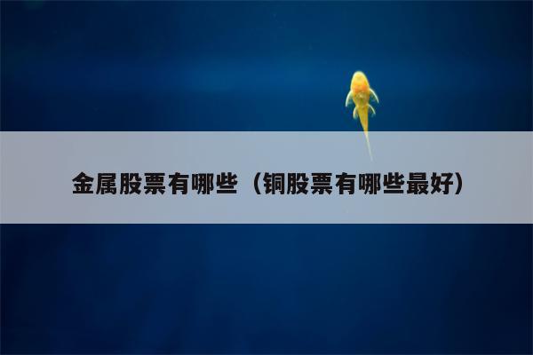金属股票有哪些（铜股票有哪些最好）
