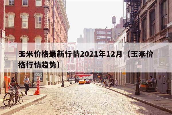 玉米价格最新行情2021年12月（玉米价格行情趋势）