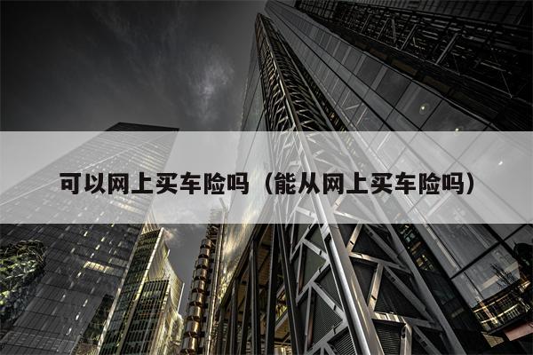 可以网上买车险吗（能从网上买车险吗）