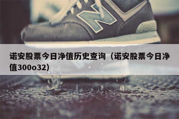 诺安股票今日净值历史查询（诺安股票今日净值300o32）